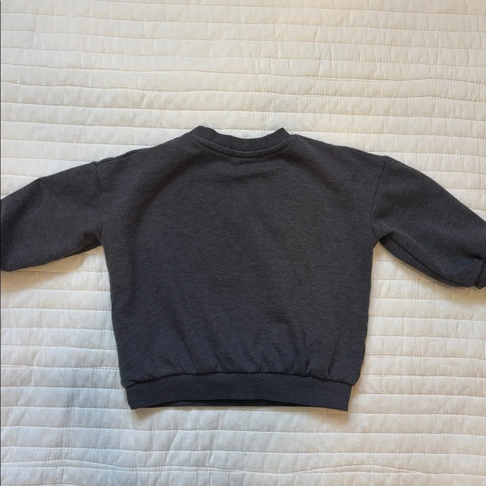 H&M Printed Sweatshirt Dark Grey Fox 2T